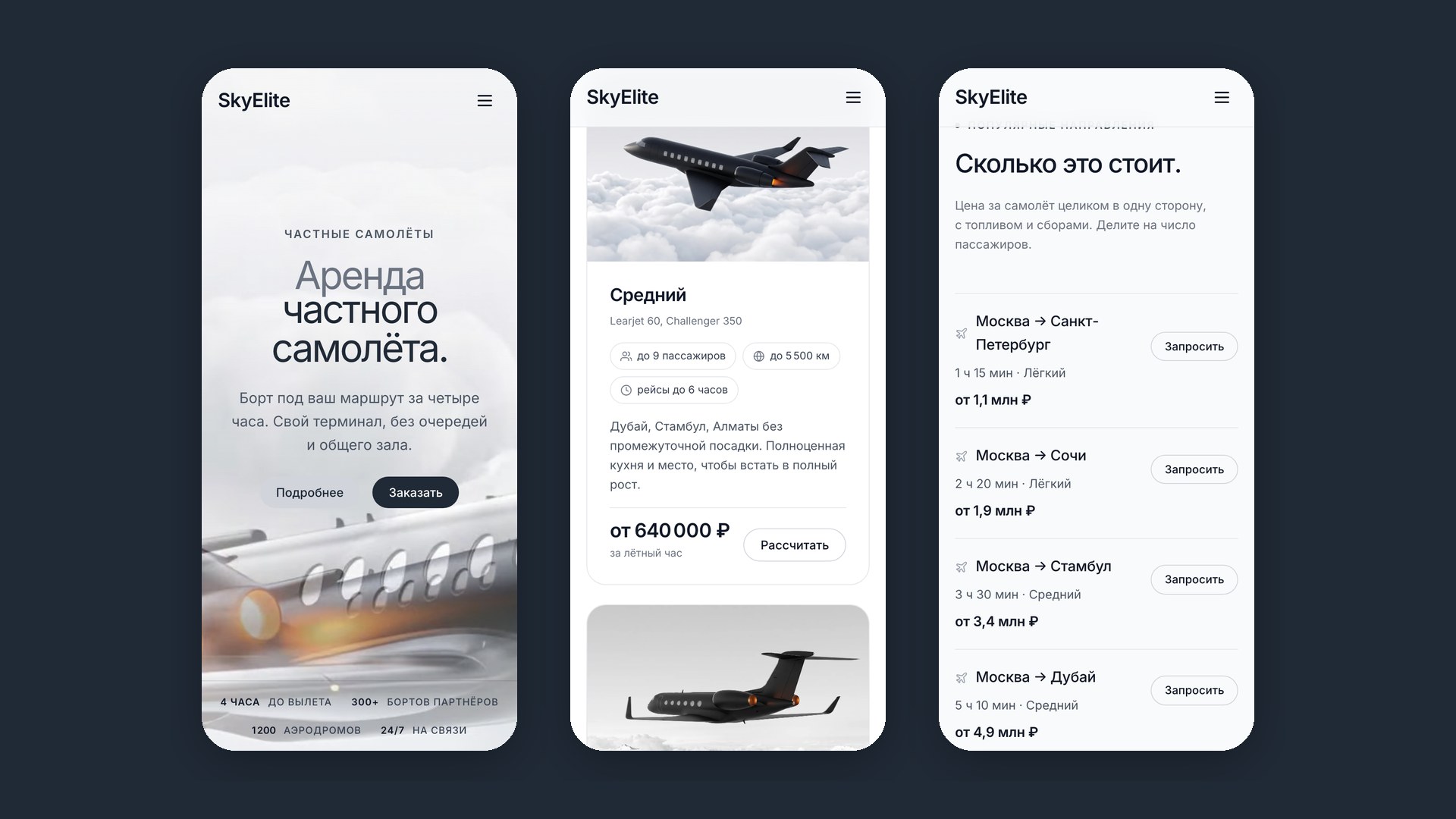 Мобильная версия: первый экран, парк и маршруты